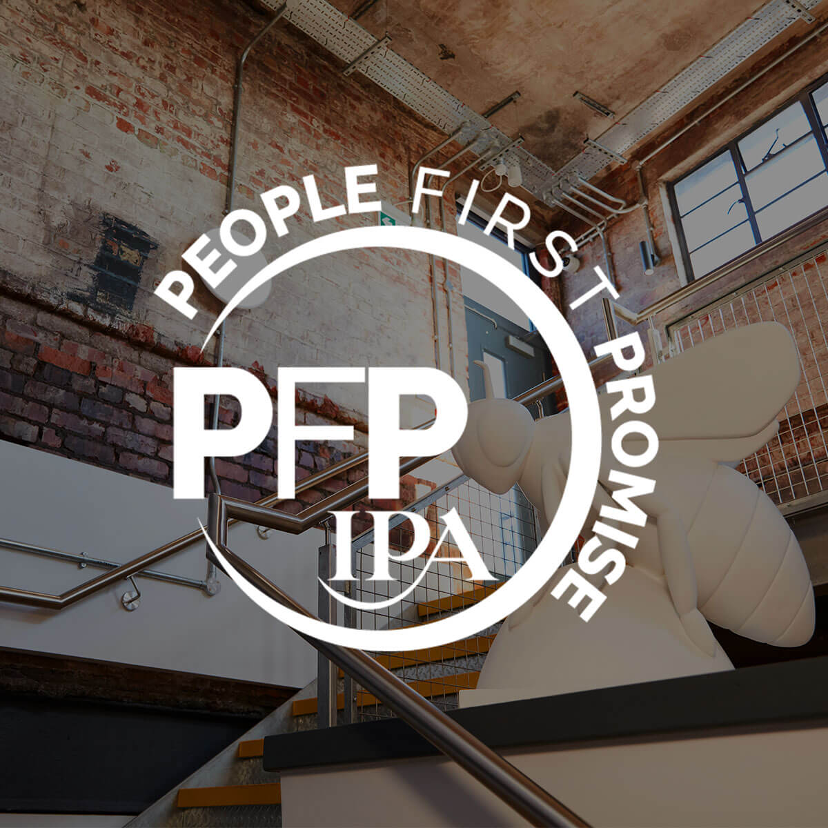 IPA People First Blog Featured Image 1200x1200